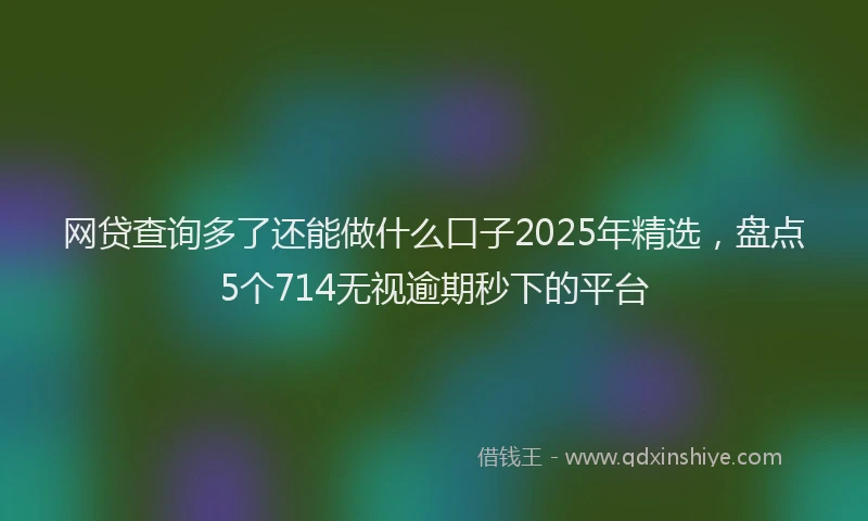 网贷查询多了还能做什么口子2025年精选，盘点5个714无视逾期秒下的平台