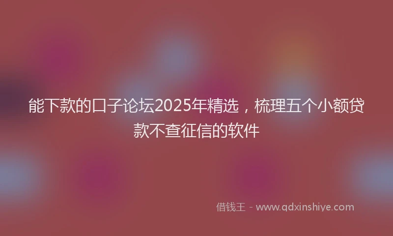 能下款的口子论坛2025年精选，梳理五个小额贷款不查征信的软件