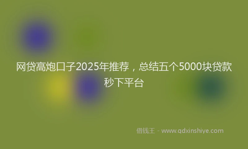 网贷高炮口子2025年推荐，总结五个5000块贷款秒下平台