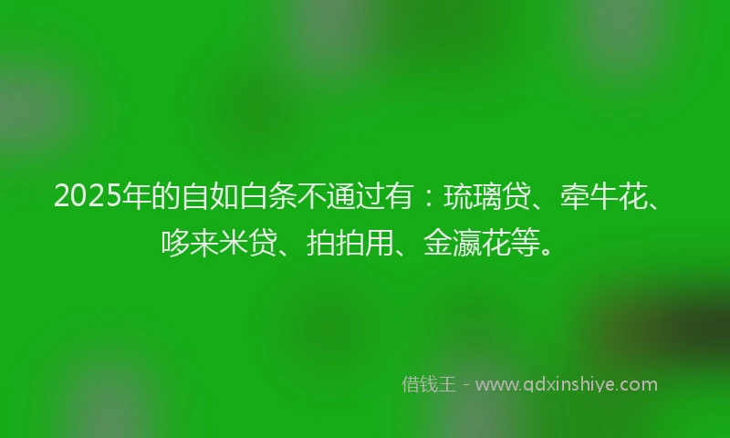 2025年的自如白条不通过有：琉璃贷、牵牛花、哆来米贷、拍拍用、金瀛花等。