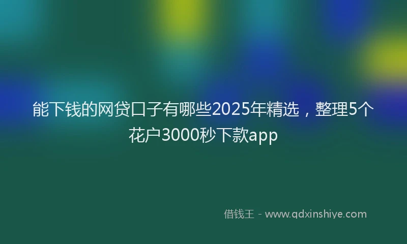 能下钱的网贷口子有哪些2025年精选，整理5个花户3000秒下款app