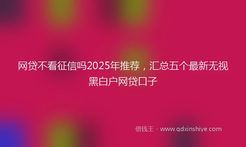 网贷不看征信吗2025年推荐，汇总五个最新无视黑白户网贷口子