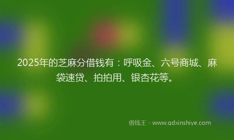 2025年的芝麻分借钱有：呼吸金、六号商城、麻袋速贷、拍拍用、银杏花等。