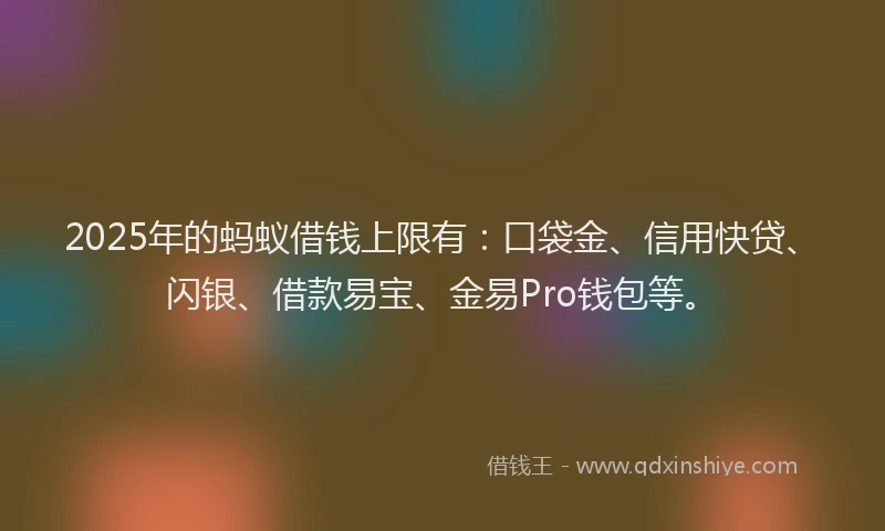 2025年的蚂蚁借钱上限有：口袋金、信用快贷、闪银、借款易宝、金易Pro钱包等。