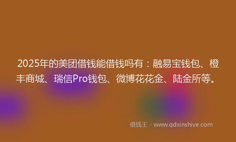 2025年的美团借钱能借钱吗有：融易宝钱包、橙丰商城、瑞信Pro钱包、微博花花金、陆金所等。