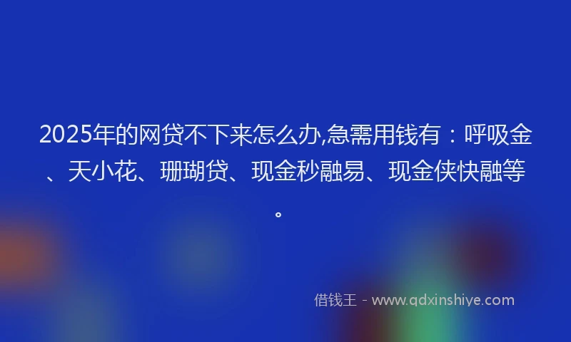 2025年的网贷不下来怎么办,急需用钱有：呼吸金、天小花、珊瑚贷、现金秒融易、现金侠快融等。