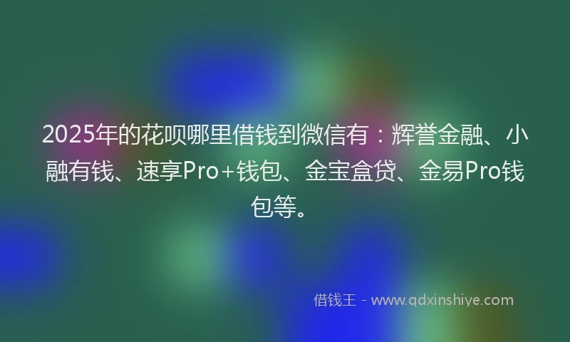 2025年的花呗哪里借钱到微信有：辉誉金融、小融有钱、速享Pro+钱包、金宝盒贷、金易Pro钱包等。