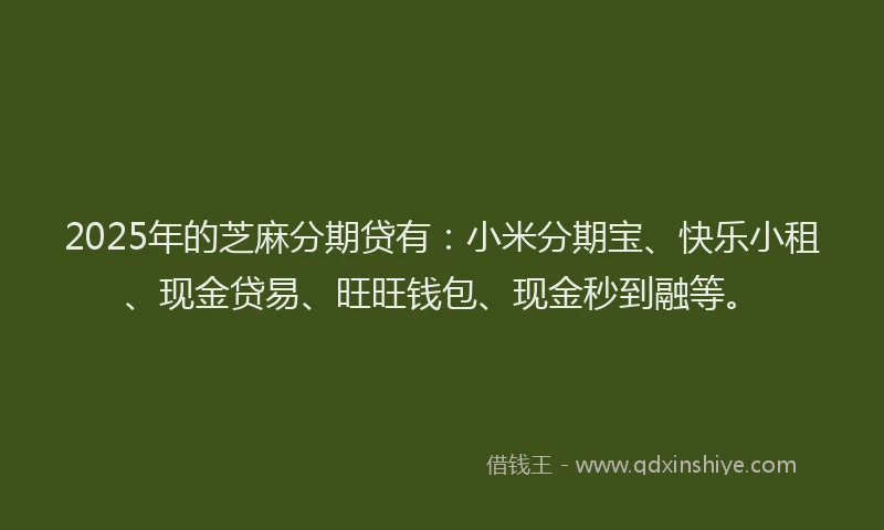 2025年的芝麻分期贷有：小米分期宝、快乐小租、现金贷易、旺旺钱包、现金秒到融等。