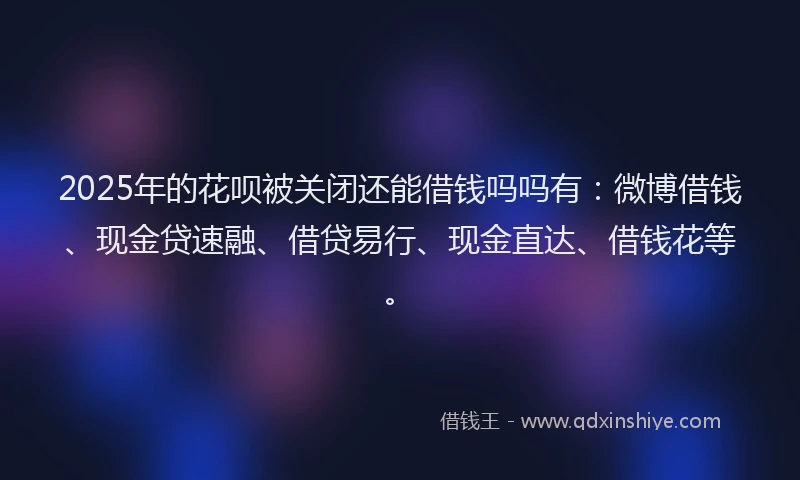 2025年的花呗被关闭还能借钱吗吗有：微博借钱、现金贷速融、借贷易行、现金直达、借钱花等。
