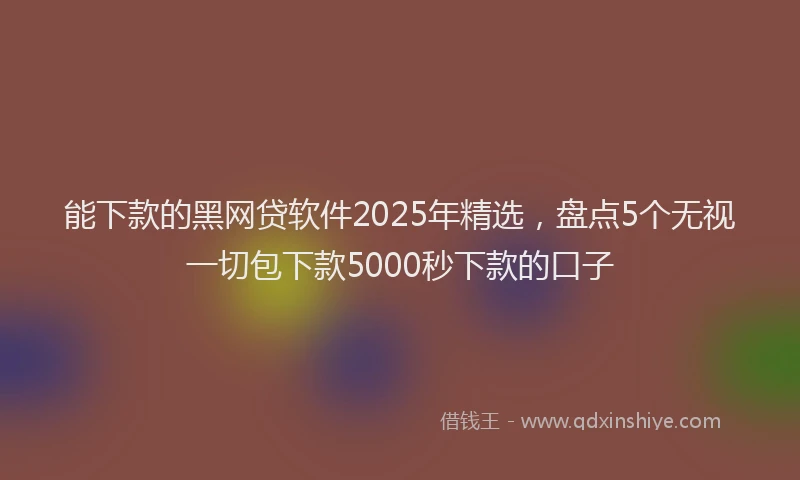 能下款的黑网贷软件2025年精选，盘点5个无视一切包下款5000秒下款的口子