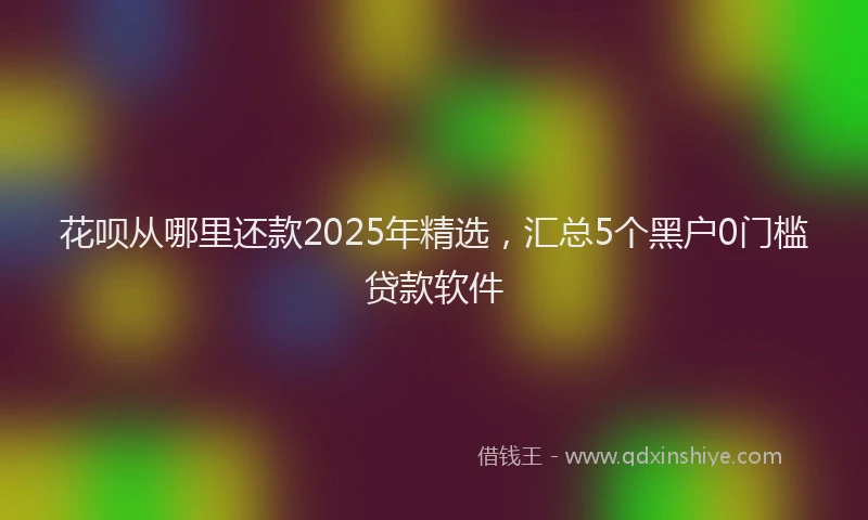 花呗从哪里还款2025年精选，汇总5个黑户0门槛贷款软件