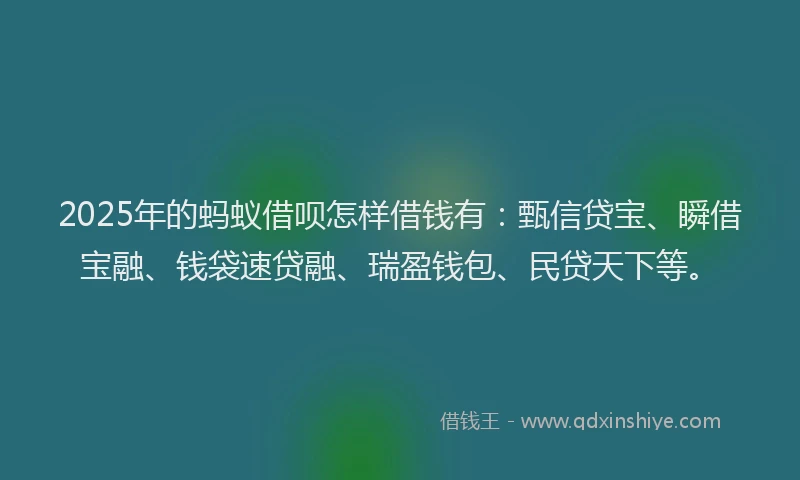 2025年的蚂蚁借呗怎样借钱有：甄信贷宝、瞬借宝融、钱袋速贷融、瑞盈钱包、民贷天下等。
