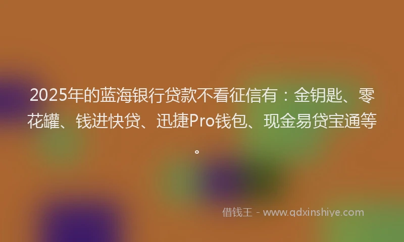 2025年的蓝海银行贷款不看征信有：金钥匙、零花罐、钱进快贷、迅捷Pro钱包、现金易贷宝通等。