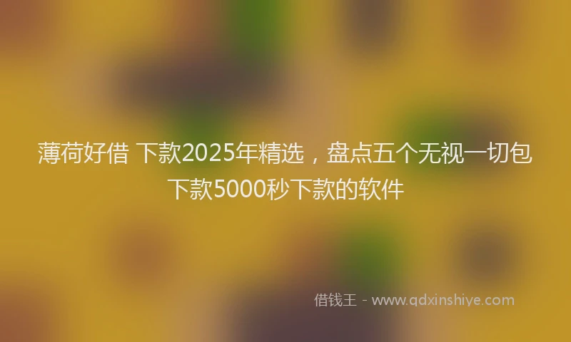 薄荷好借 下款2025年精选，盘点五个无视一切包下款5000秒下款的软件