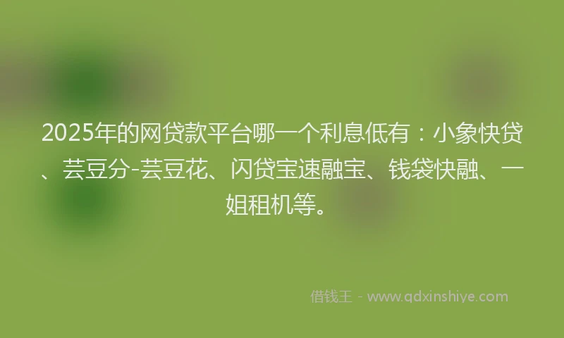 2025年的网贷款平台哪一个利息低有：小象快贷、芸豆分-芸豆花、闪贷宝速融宝、钱袋快融、一姐租机等。