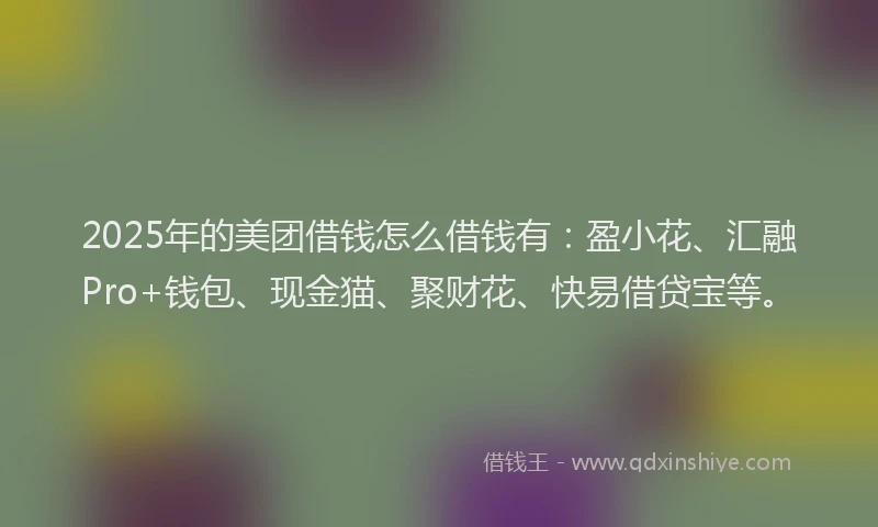 2025年的美团借钱怎么借钱有：盈小花、汇融Pro+钱包、现金猫、聚财花、快易借贷宝等。