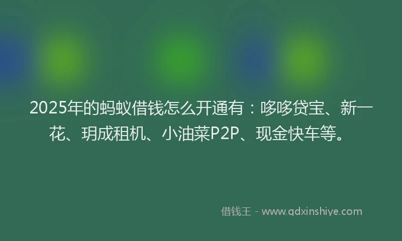 2025年的蚂蚁借钱怎么开通有：哆哆贷宝、新一花、玥成租机、小油菜P2P、现金快车等。