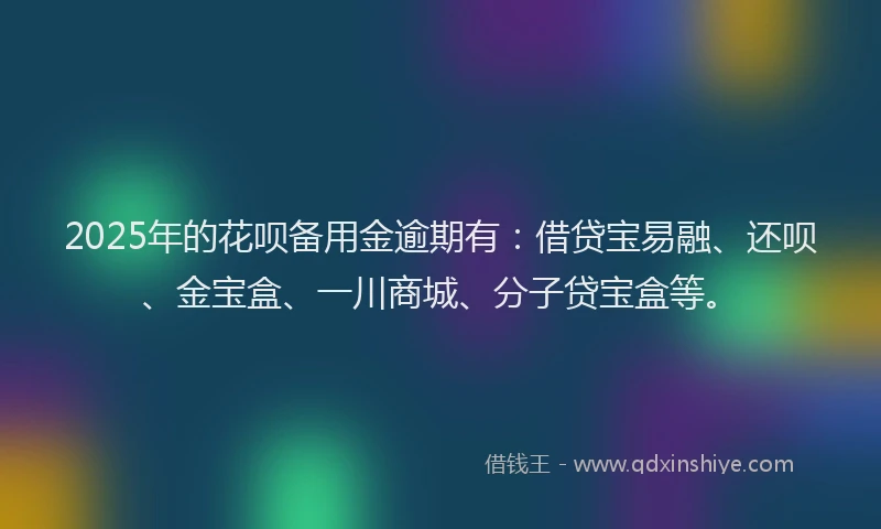 2025年的花呗备用金逾期有：借贷宝易融、还呗、金宝盒、一川商城、分子贷宝盒等。