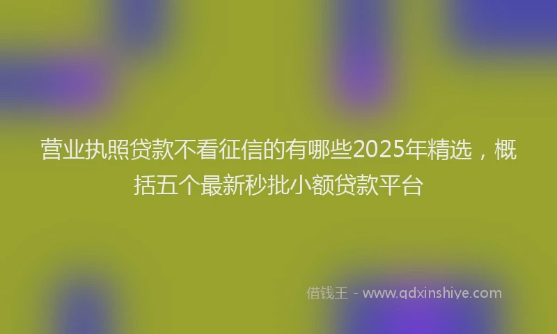 营业执照贷款不看征信的有哪些2025年精选，概括五个最新秒批小额贷款平台