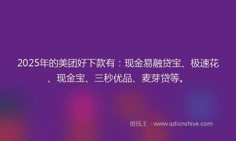 2025年的美团好下款有：现金易融贷宝、极速花、现金宝、三秒优品、麦芽贷等。
