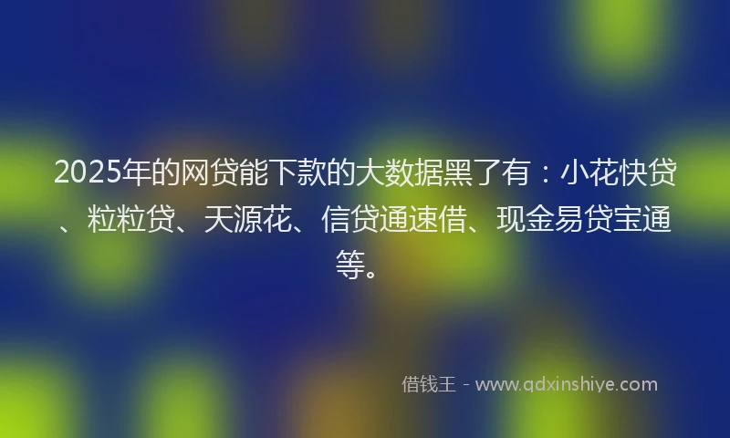 2025年的网贷能下款的大数据黑了有：小花快贷、粒粒贷、天源花、信贷通速借、现金易贷宝通等。