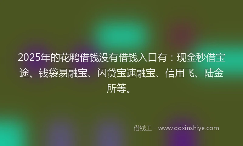 2025年的花鸭借钱没有借钱入口有：现金秒借宝途、钱袋易融宝、闪贷宝速融宝、信用飞、陆金所等。