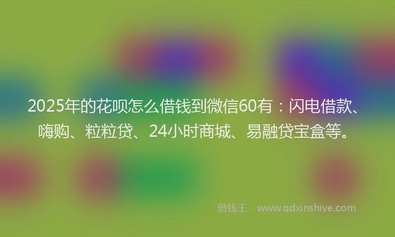 2025年的花呗怎么借钱到微信60有：闪电借款、嗨购、粒粒贷、24小时商城、易融贷宝盒等。