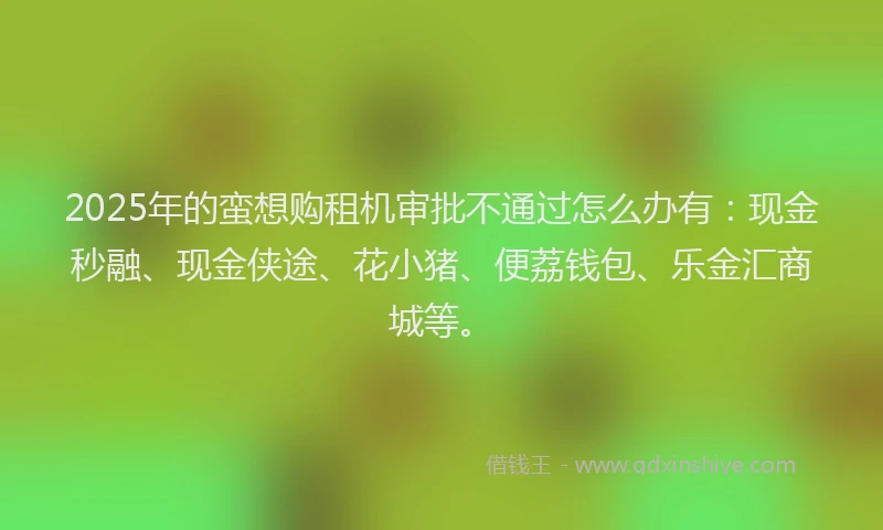 2025年的蛮想购租机审批不通过怎么办有：现金秒融、现金侠途、花小猪、便荔钱包、乐金汇商城等。