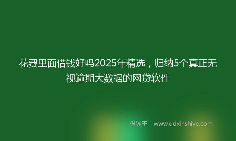花费里面借钱好吗2025年精选，归纳5个真正无视逾期大数据的网贷软件
