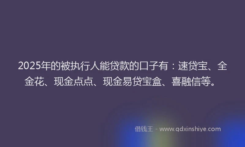 2025年的被执行人能贷款的口子有：速贷宝、全金花、现金点点、现金易贷宝盒、喜融信等。