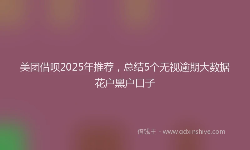 美团借呗2025年推荐，总结5个无视逾期大数据花户黑户口子