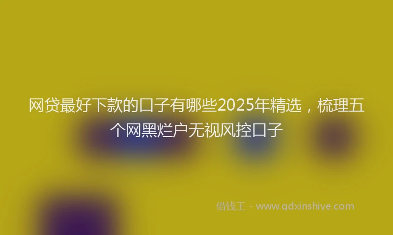 网贷最好下款的口子有哪些2025年精选，梳理五个网黑烂户无视风控口子