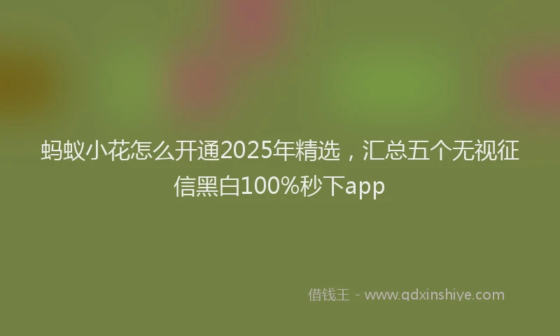 蚂蚁小花怎么开通2025年精选，汇总五个无视征信黑白100%秒下app