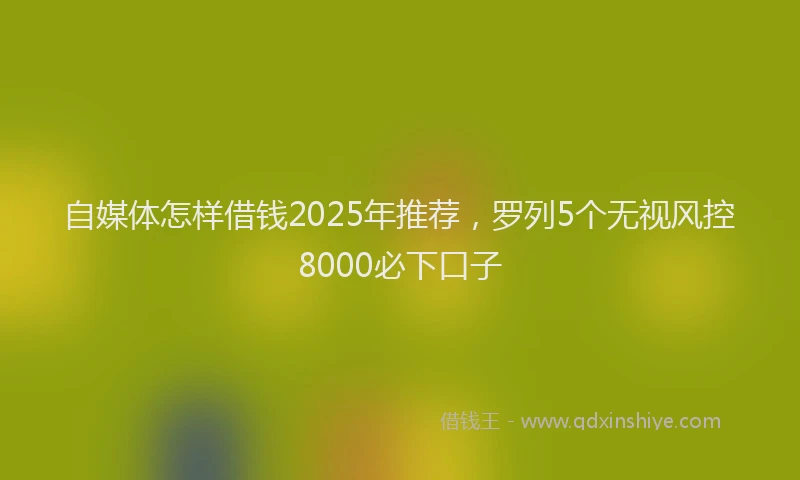 自媒体怎样借钱2025年推荐，罗列5个无视风控8000必下口子