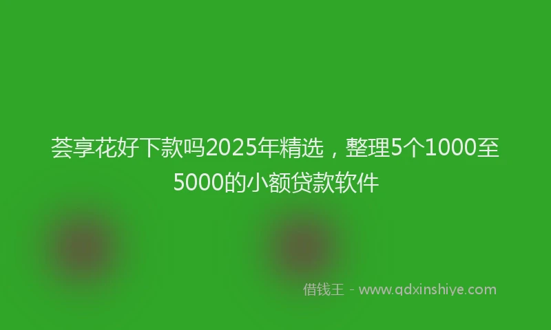 荟享花好下款吗2025年精选，整理5个1000至5000的小额贷款软件