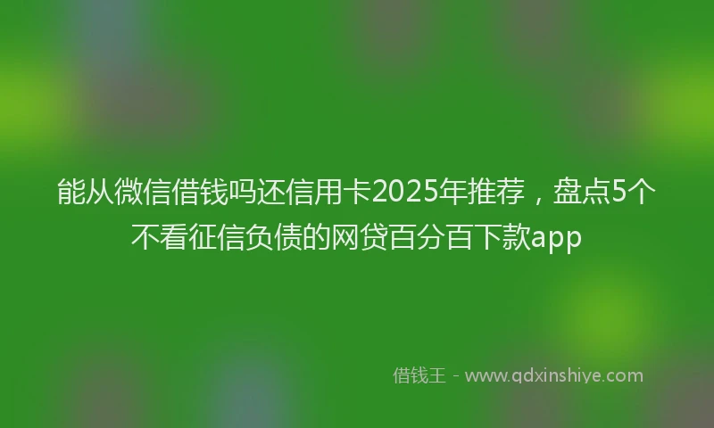 能从微信借钱吗还信用卡2025年推荐，盘点5个不看征信负债的网贷百分百下款app
