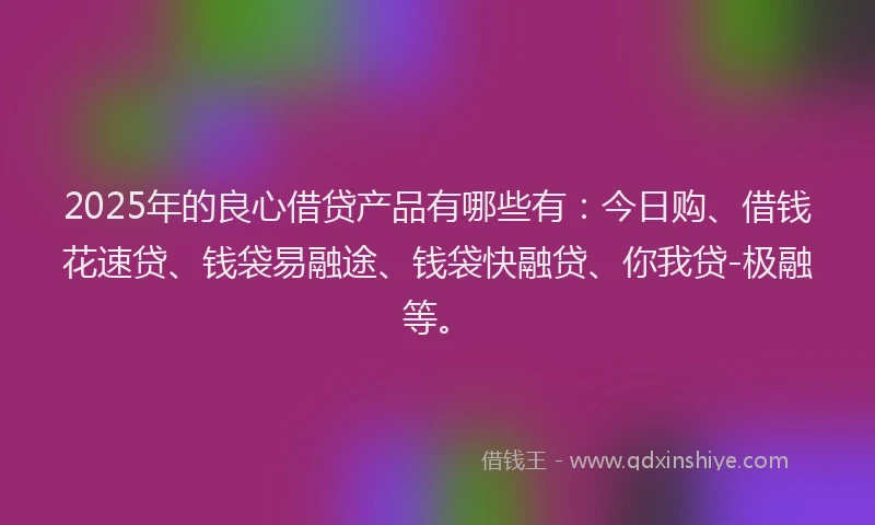 2025年的良心借贷产品有哪些有：今日购、借钱花速贷、钱袋易融途、钱袋快融贷、你我贷-极融等。