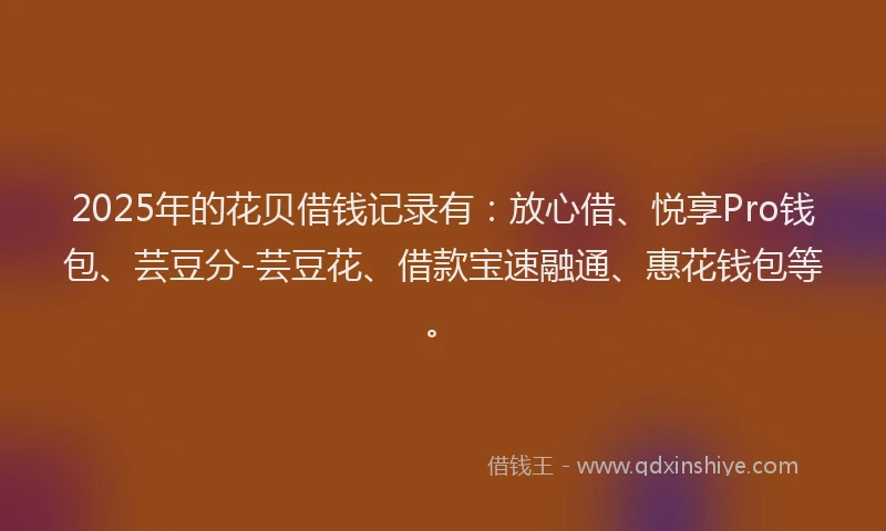 2025年的花贝借钱记录有：放心借、悦享Pro钱包、芸豆分-芸豆花、借款宝速融通、惠花钱包等。