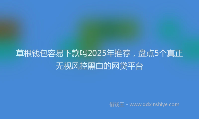 草根钱包容易下款吗2025年推荐，盘点5个真正无视风控黑白的网贷平台