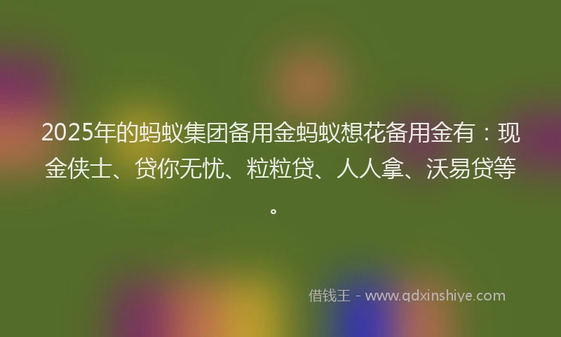 2025年的蚂蚁集团备用金蚂蚁想花备用金有：现金侠士、贷你无忧、粒粒贷、人人拿、沃易贷等。