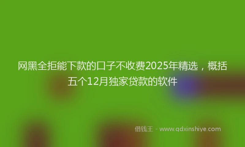 网黑全拒能下款的口子不收费2025年精选，概括五个12月独家贷款的软件