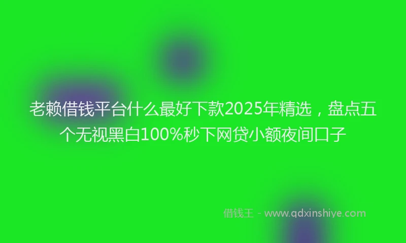 老赖借钱平台什么最好下款2025年精选，盘点五个无视黑白100%秒下网贷小额夜间口子