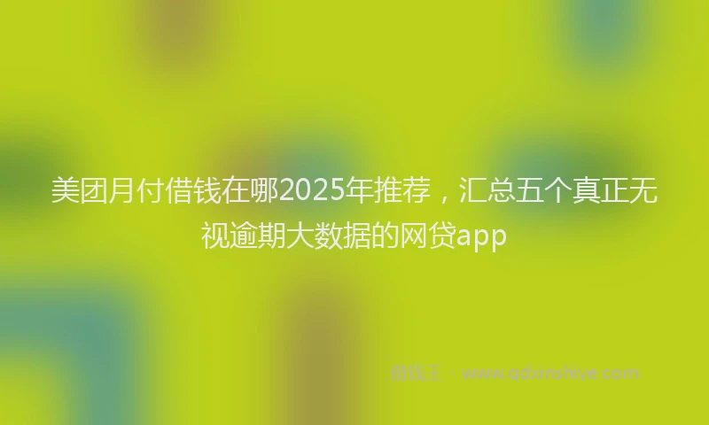 美团月付借钱在哪2025年推荐，汇总五个真正无视逾期大数据的网贷app