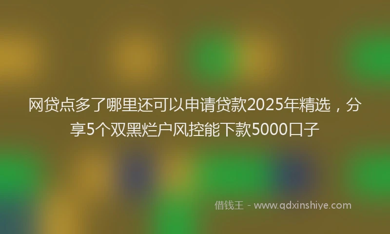 网贷点多了哪里还可以申请贷款2025年精选，分享5个双黑烂户风控能下款5000口子