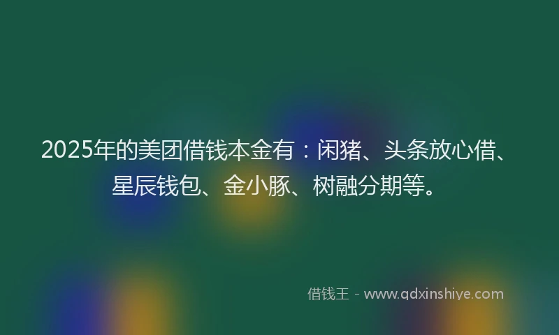 2025年的美团借钱本金有：闲猪、头条放心借、星辰钱包、金小豚、树融分期等。