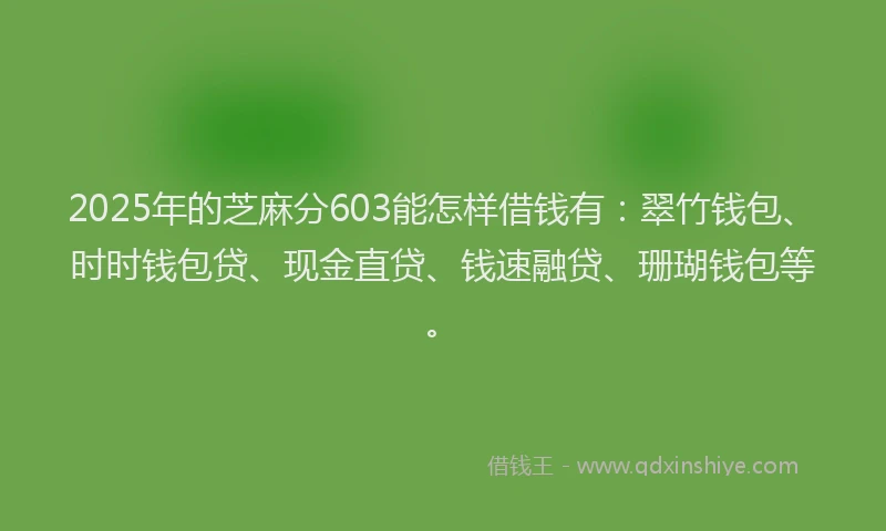 2025年的芝麻分603能怎样借钱有：翠竹钱包、时时钱包贷、现金直贷、钱速融贷、珊瑚钱包等。