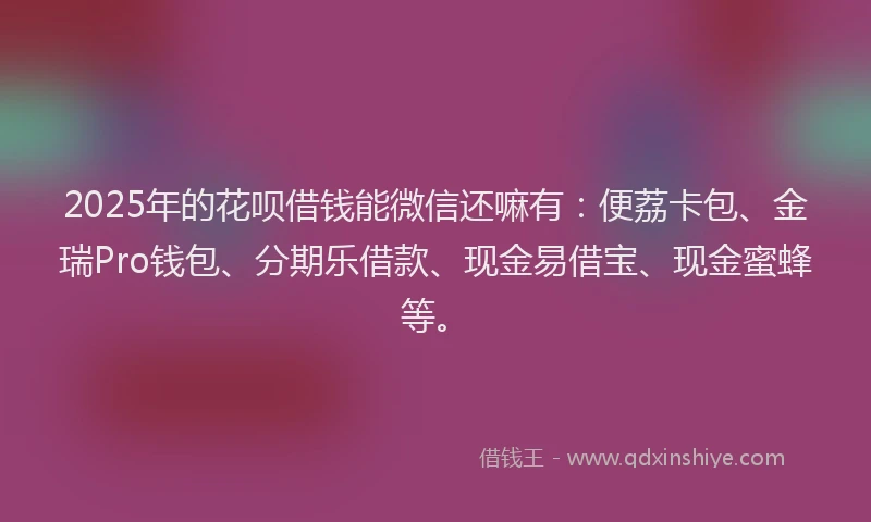 2025年的花呗借钱能微信还嘛有：便荔卡包、金瑞Pro钱包、分期乐借款、现金易借宝、现金蜜蜂等。