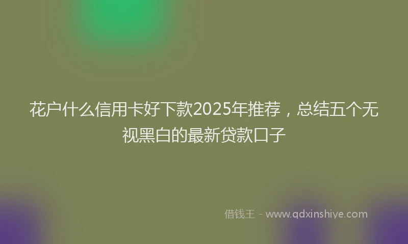花户什么信用卡好下款2025年推荐，总结五个无视黑白的最新贷款口子