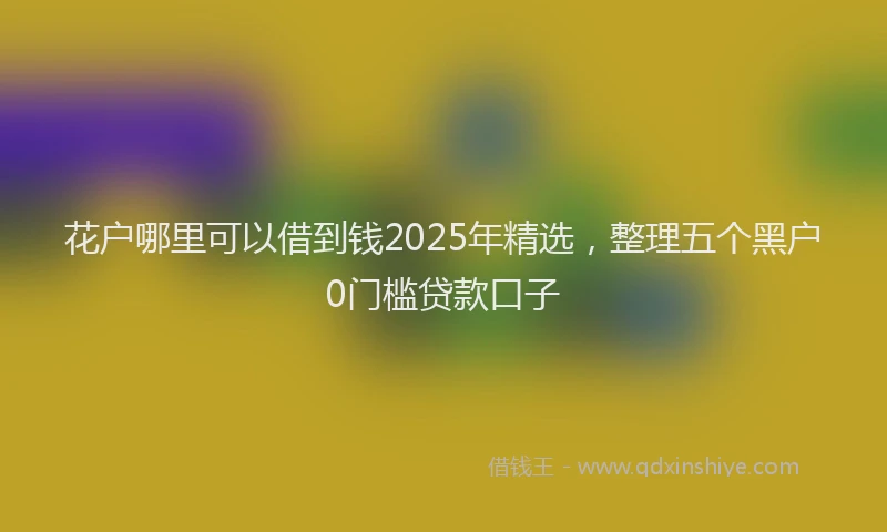 花户哪里可以借到钱2025年精选，整理五个黑户0门槛贷款口子