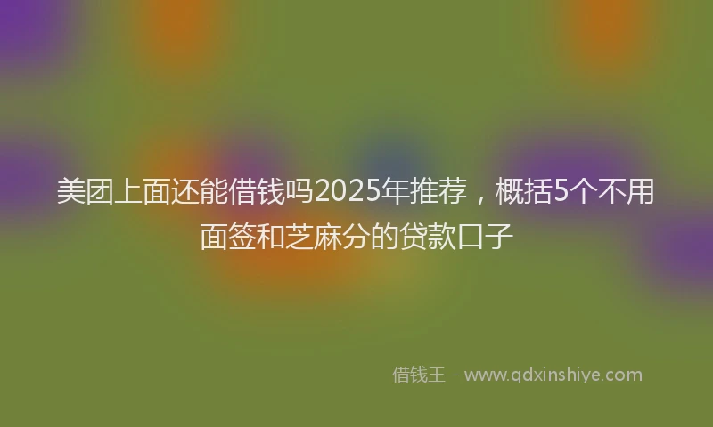 美团上面还能借钱吗2025年推荐，概括5个不用面签和芝麻分的贷款口子